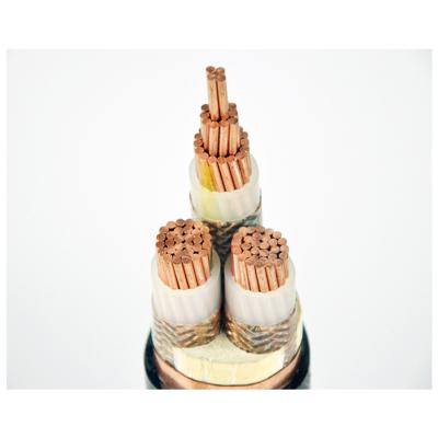                    Specialized XLPE Insulated Power Cable for Nuclear Power Plants             
