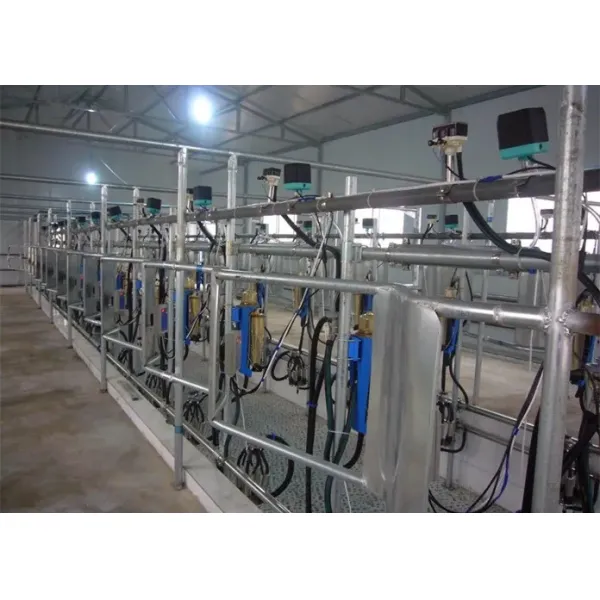 Milk Flow Meter Herring Bone Milking Parlor System CE ISO SGS FDA Certified Mobile Milking Machine