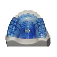 Instruments dentaires orthopédiques avec Biocompatibility de forte stabilité et bon