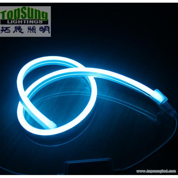 мини-размер RGB LED неоновый флекс 10 * 18 мм полный цветопеременный неоновый свет 110V SMD5050