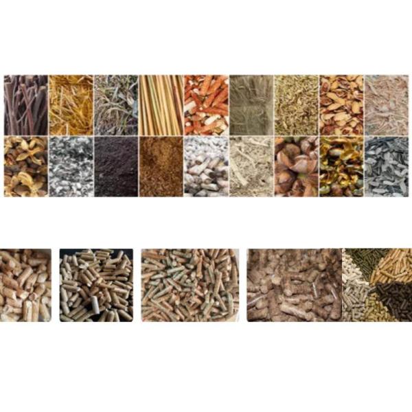 Таблетка из горючег опилк древесины машины мельницы лепешки CE вертикальная делая машину 55-160kw