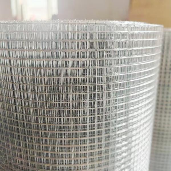 Protective Net Smooth Surfacestainless Steel Welded Wire Mesh Rolls BWG21 For Bird Cages