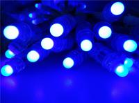 La haba del milagro 12m m que el pixel llevado a todo color del Rgb ata el pixel direccionable del Rgb del certificado del BIS llevó 12m m 5v 12v