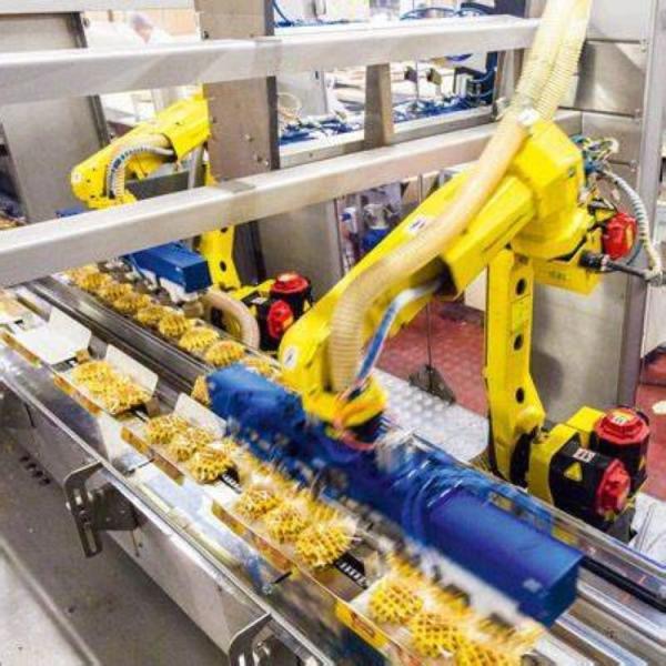 Packing 6 Axis Used Industrial Robot With Robotic Arm Hand Manipulator Payload 12kg