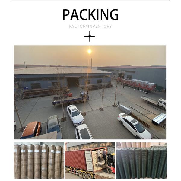 Продавать хорошо Новый Тип фабрики низкая цена ПВХ покрытая сетка из проволоки / Куриный дом производитель сетки из проволоки