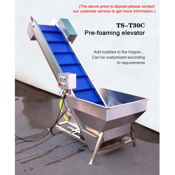 Pre-foaming elevator processing production Destoning Supplying Inspecting Grading Fruit Orange Vegetable Onions horseshoe Ginger Potato Carrot radish Lettuce Baby Cabbage Chinese Cabbage Cabbage