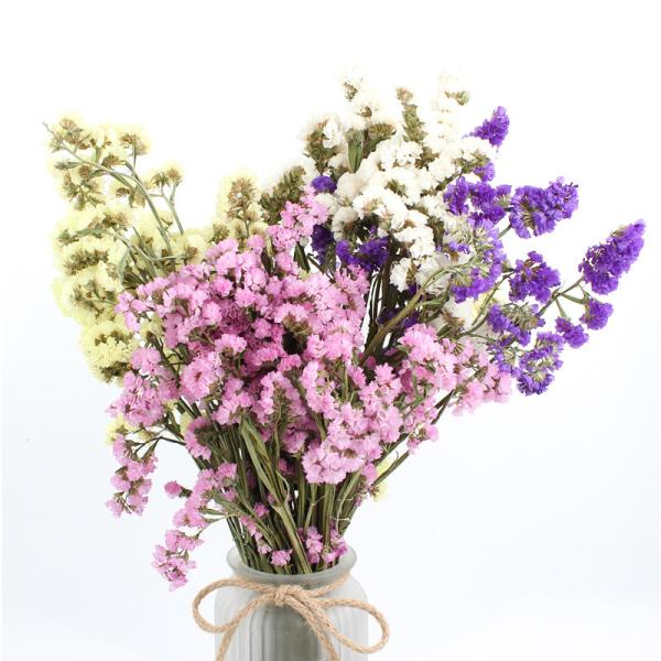 Forget Me Not Limonium Statice Flower , Everlasting Preserved Fresh Flower