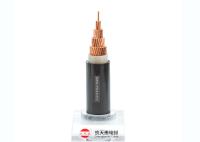 0.6/1 de cabo de cobre de baixa tensão quilovolts de cabo distribuidor de corrente, XLPE isolaram o único núcleo do cabo