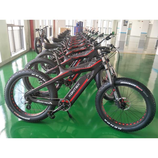 Hidden Battery 48V 500W Motor Folding Ebike with Suspension Fork and Super Light Mini