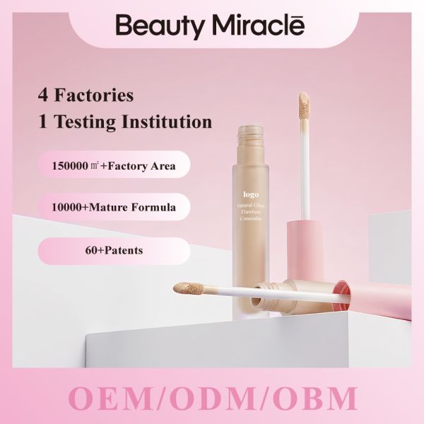 Private Label Natural Cover Dark Circles Scar Mineral Liquid Waterproof High Definition Makeup Concealer Full Coverage Makeup