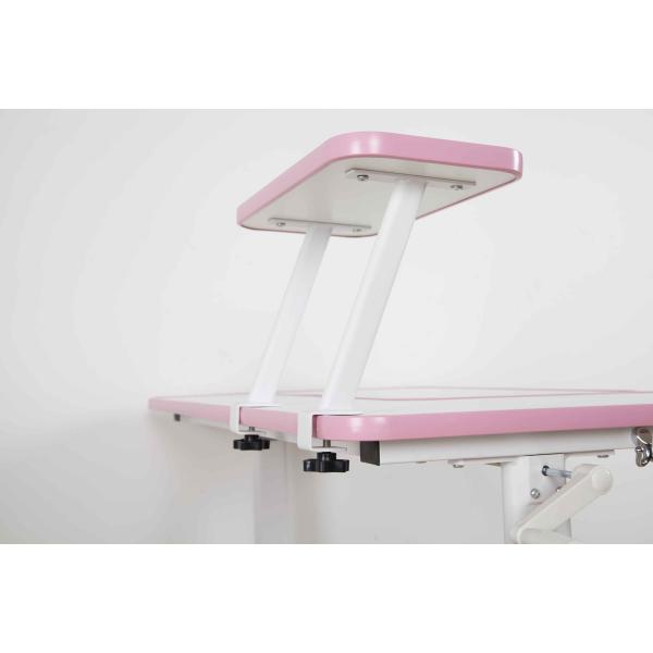 Removable Shelf Kids Playroom Furniture Study Writing Desk W100*D63*H112CM