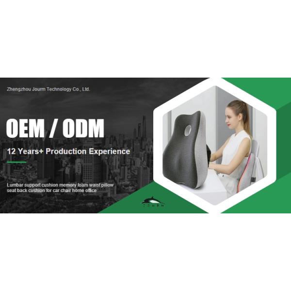 Memory Foam Back Cushion for Car Chair Home Office Modern Style Lumbar Support Pillow