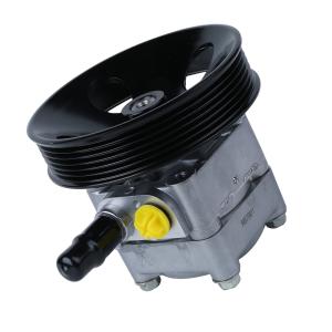 Pompe 8603052 8683377 de direction assistée de Womala 4kg for S80