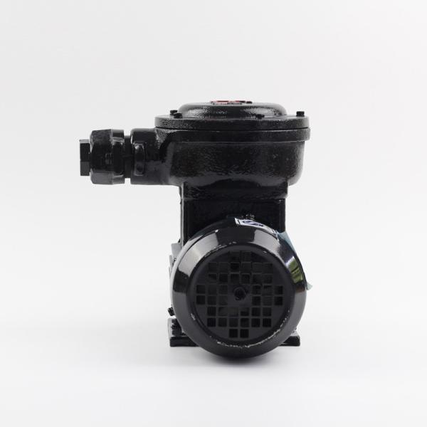 FLOWDRIFT Stainless Steel  No Leakage Magnetic Gear Pump Composed By AC Explosion- Protection Drive Device