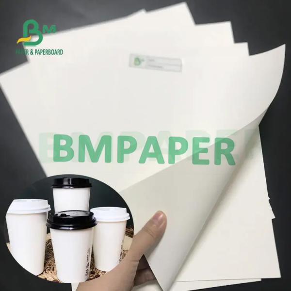Food Grade 210 / 230g + 15g Poly Coated White Cup Stock Paper Board Rolls For Cup Paper Bowl Paper