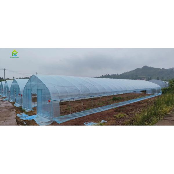 Film de serre pour climat tropical 30 X 100 Kit complet de serre Serre à une seule travée