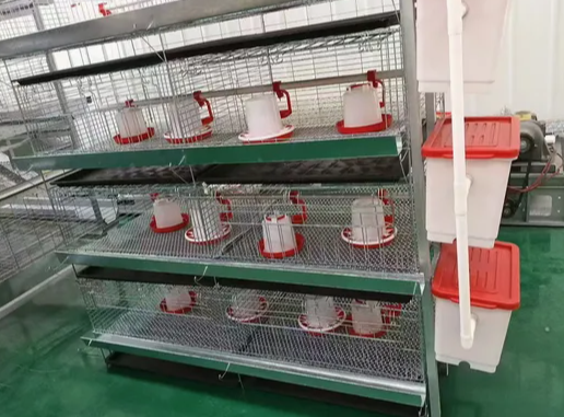 4 Tier H Type Fully Automatic Battery Layer Chicken Cage with Galvanized Steel Poultry Farming Equipment
