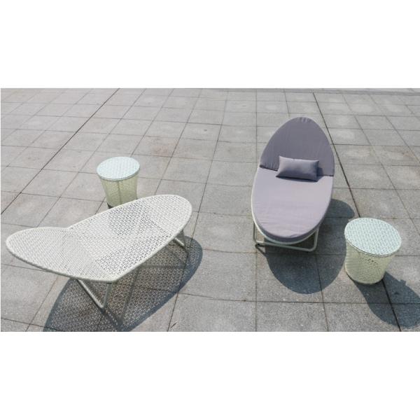 Leisure Aluminium PE Rattan Lounge chairs Outdoor Garden patio Beach chair