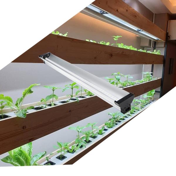 FCC Tabletop Grow Lights