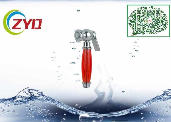 Pumping Bidet Hose Sprayer , Toilet Bidet Hand Shower With Wall Braket