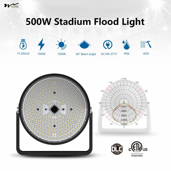 Long Lifespan 500W LED Stadium Lights 60° Beam Angle IP65 Waterproof for Fishing Lighting