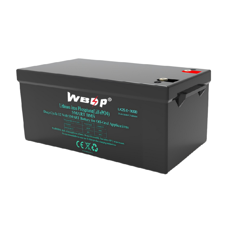 25.6V 24V 300Ah Lithium Battery High Capacity Lithium Camper Van Battery