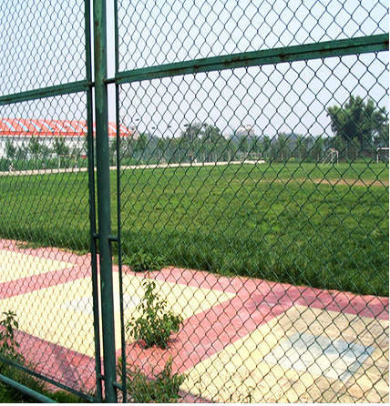Export wire mesh fence fast delivery time chain link mesh PVC coated chain link fence