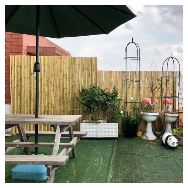 Home Rolled Bamboo Screen Fencing Backyard Garden Decorative Bamboo Paneling
