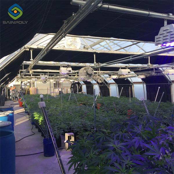 Grande serre à privation de lumière automatisée intelligente pour l'agriculture