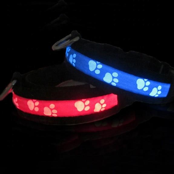 C903 Hot Sale Durable Nature Material Rechargeable LED Dog Adjustable Flashing Collars With Buckle