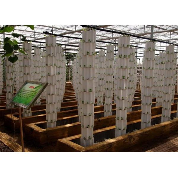 Plastic Film Hydroponic Greenhouse Strong Ventilation Ability Convenient To Use