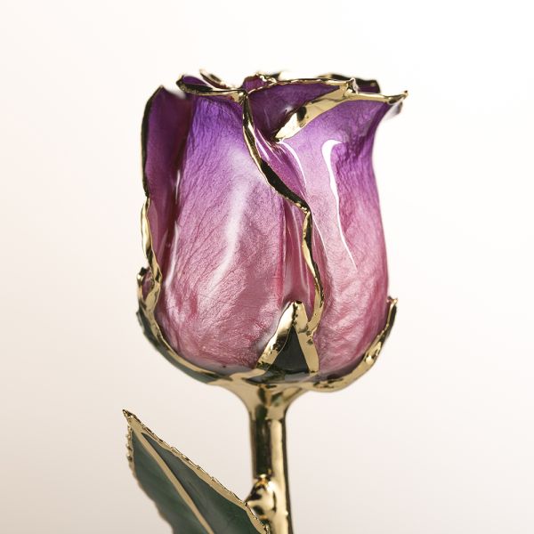 Gold Plated Rose Fresh Preserved Flower Gold Plated 24k Gold Plated Rose Eternal Roses Flower Mother's Day