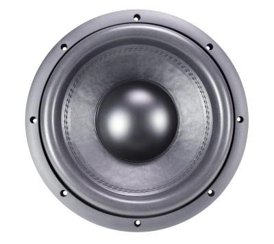 10double ferrite magnet subwoofer 800 Watts RMS dual 2/4 ohms 2.5voice coil 84.8dB SE10V5