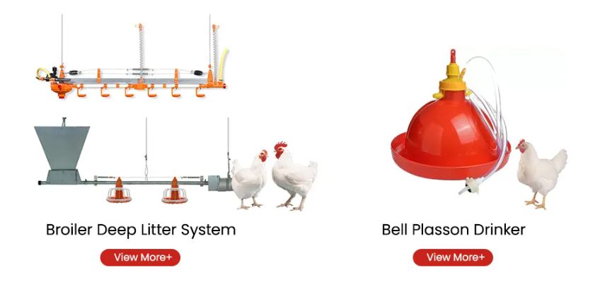 Automatic Controller Ventilation Control System for Poultry Farms with Hot Galvanized Steel and CE Certification