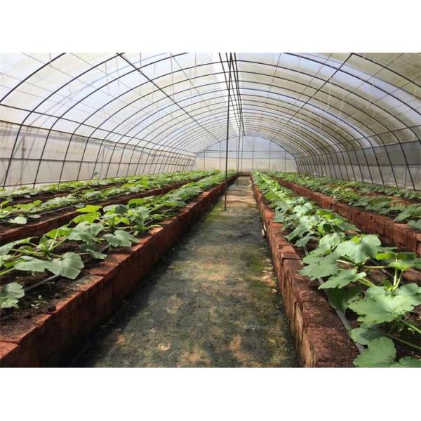 Armação de aço alta agrícola da estufa da barraca da aro para o crescimento do tomate