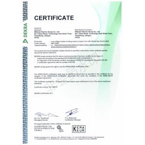 Wetown Electric Group Co.,Ltd. Сертификации