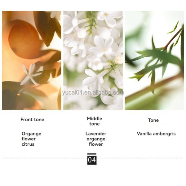 Fresh Florals Private Label Men's Luxury Collection Perfume Set Highly Customized Gift