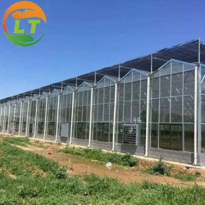 Glass for Outdoors Greenhouses Large Size and Hydroponic Nursery Sponge Advantage