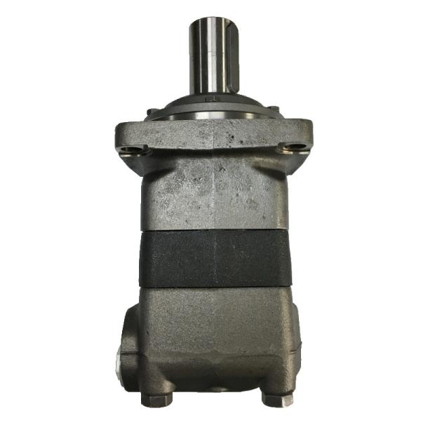 Danfoss Hydraulic Pump OMV630151B3319 Low Maintenance Costs High Torque Output High Load Capacity Adaptable Smooth Operation