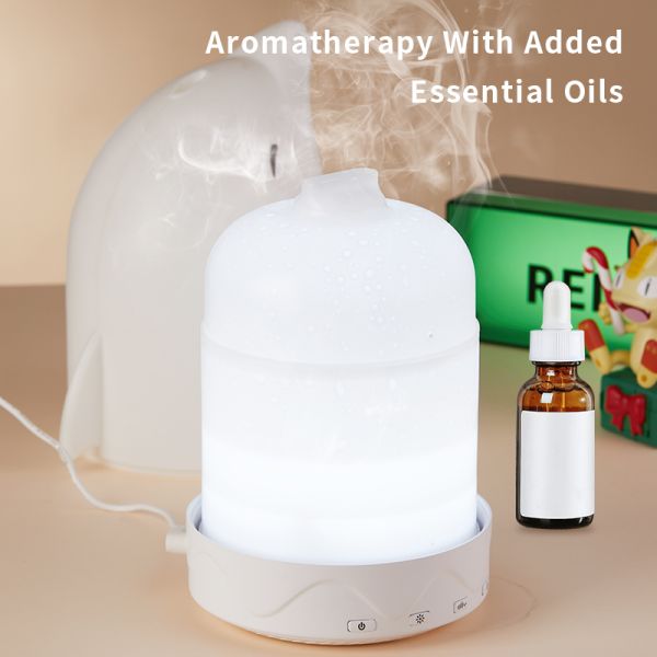 MUSIC DOLPHIN Humidifier Aromatherapy Lamp White Noise Sleep Device (Bedroom/Office/Healing Scene)