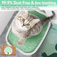 ODM Sustainable Organic Green Tea Cat Litter Résiduel et sans poussière