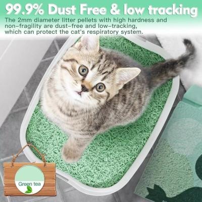 Litière pour chat agglomérante, écologique, durable, organique, au soja, au thé vert, et jetable dans les toilettes