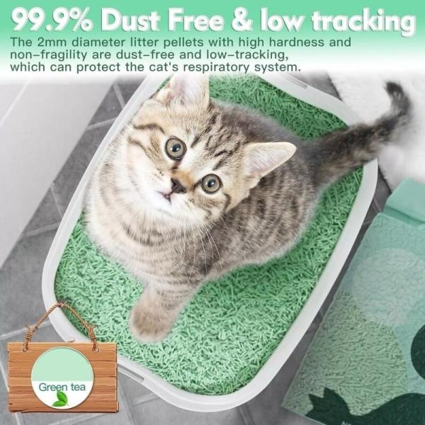 Litière pour chat agglomérante, écologique, durable, organique, au soja, au thé vert, et jetable dans les toilettes