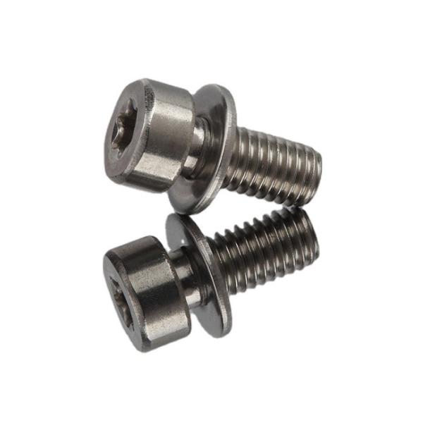 Din SUS304 Stainless Steel A2 Torx Socket Cup Head Seas Torx Machine Screw