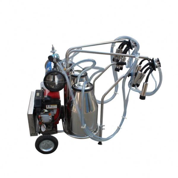 HL-JN09 Diesel Engine Dairy Automatic Milking Machine with Double Bucket 25L