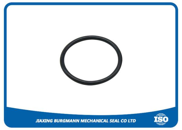 Kalrez O Ring Replace 6375 Valve Seal O Ring Chemical Resistance