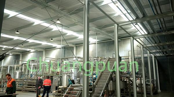 Stainless Steel Mango Pulp Production Line 380V 410V