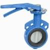  Bray Butterfly Valves Adjustable Tightness 1.0/1.6/2.5Mpa