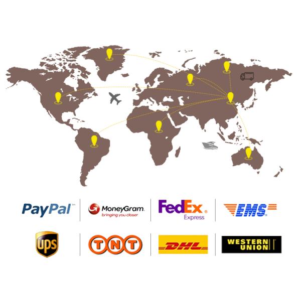 Customized Hot Rolled Carbon Steel Coil 3mm - 16mm Thickness HRC Steel Coils