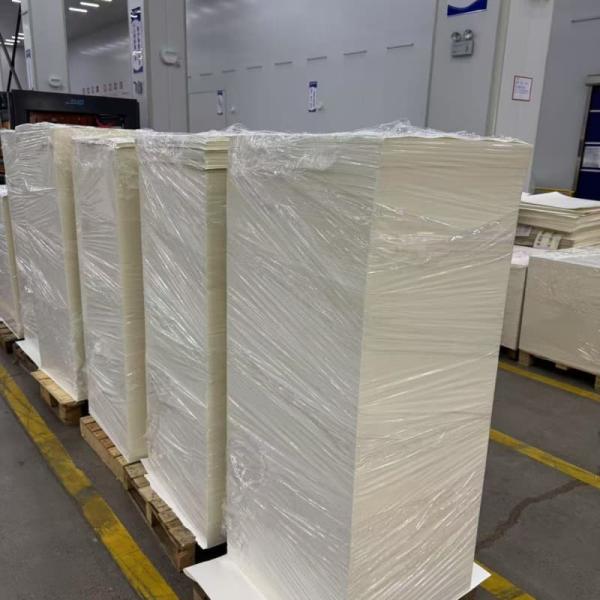 Sustainable PLA Coated Paper Sheet for Grease and Water Resistant Food Packaging